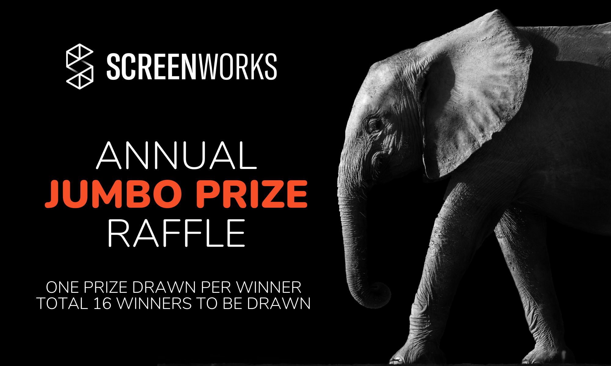 Annual Raffle_+30minCloseUp